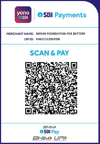 QR code for payment