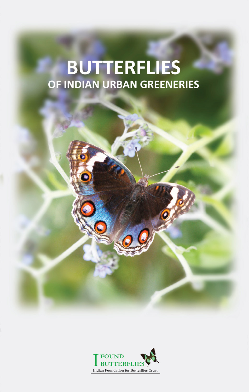 Butterflies of Indian Urban Greeneries brochure