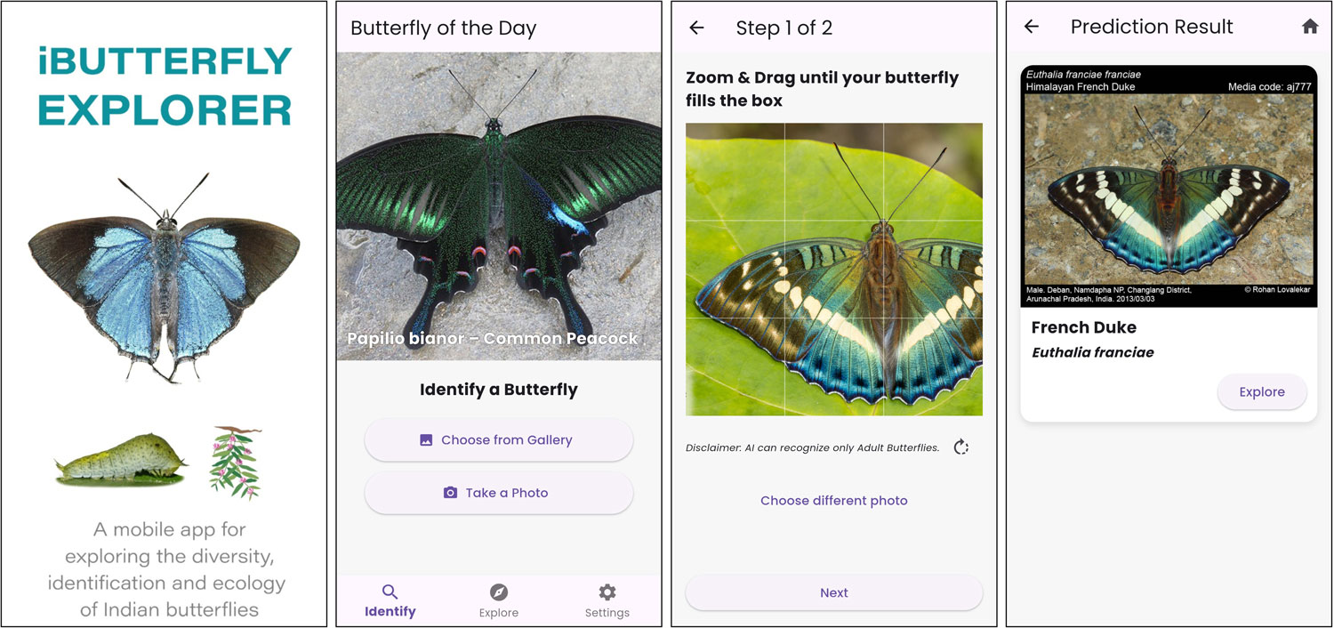 iButterfly Explorer Mobile App 1
