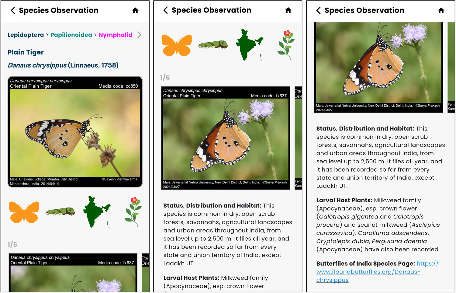 iButterfly Explorer Mobile App 2