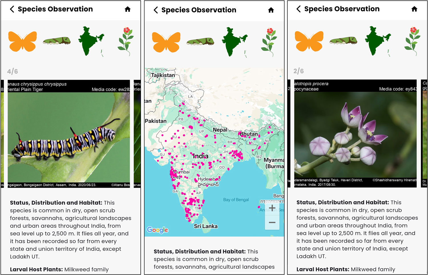 iButterfly Explorer Mobile App 3
